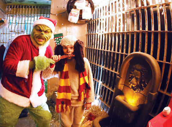 Grinch's Lair - Christmas Holiday Event in Palestine, Texas – Texas ...